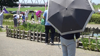 Koiwa Shobu Garden 사진 2