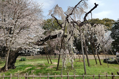 Namida-ishi Rock 사진 3