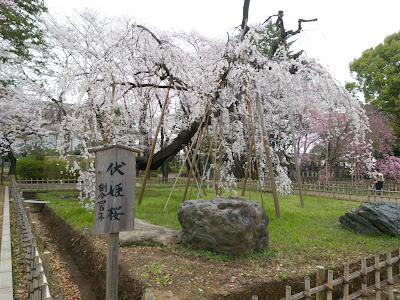 Square for Moon Viewing 사진 3