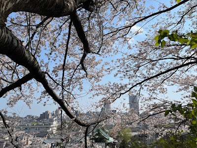 Square for Moon Viewing 사진 2