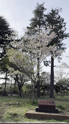 Suwada Park 사진 2