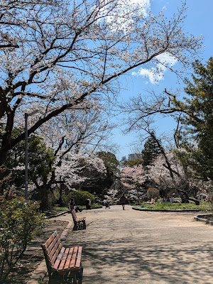 Suwada Park 사진 5