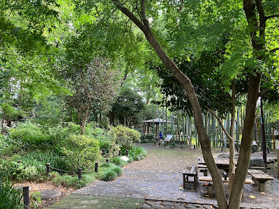 Nerima Ward Sekitei no Mori Green Space 사진 4
