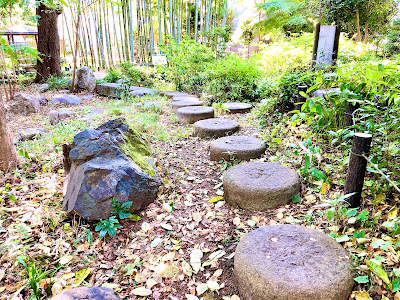 Nerima Ward Sekitei no Mori Green Space 사진 5