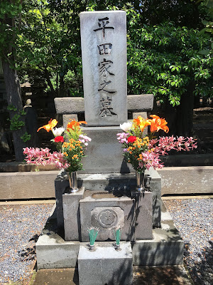 巨大ボールとゴール 사진 4