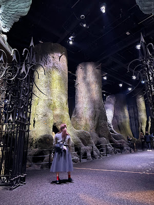Hogwarts Library 사진 4