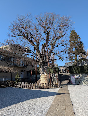 Nerima Hakusan Shrine 사진 4