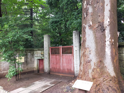 内田家の屋敷林 사진 3