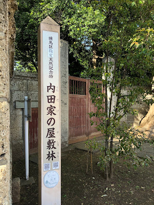 内田家の屋敷林 사진 2