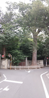 ねりまの名木 内田家のケヤキ 사진 4