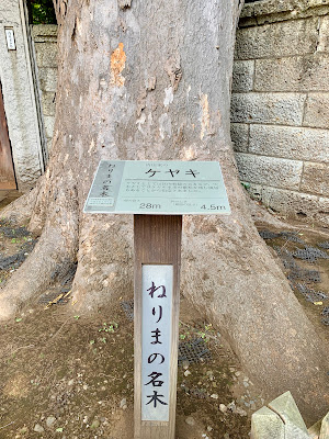 ねりまの名木 内田家のケヤキ 사진 2