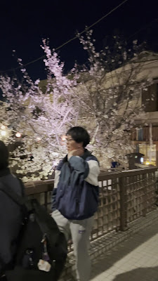 向屋敷橋の桜 사진 2