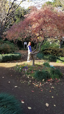Jujo-no-mori Field 사진 4