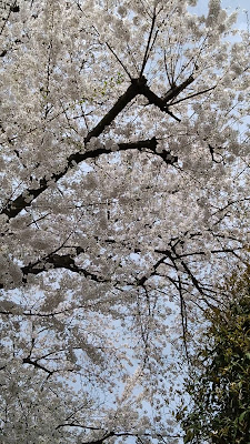 Jujo-no-mori Field 사진 2