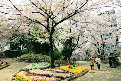 Hydrangea Road 사진 3