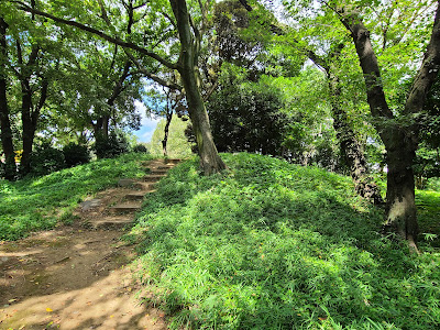 Asukayama Tumulus No. 1 사진 3