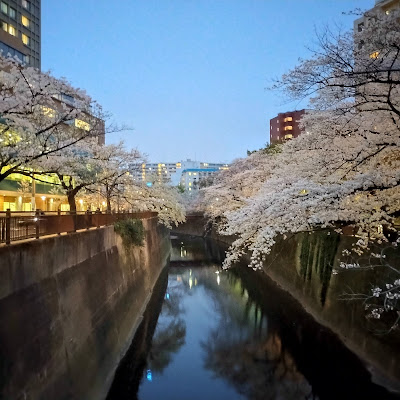 Matsuhashi 사진 2