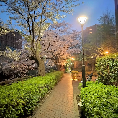 Matsuhashi 사진 3