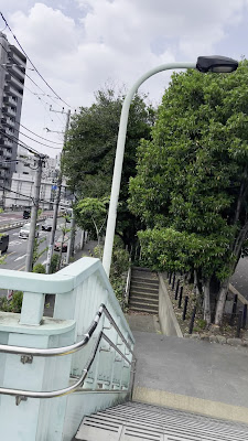 飛鳥山公園 多目的広場 사진 2