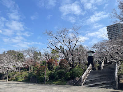 飛鳥山公園 多目的広場 사진 3