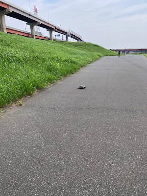 荒川之下流三十景その十六「本木之景」 사진 4