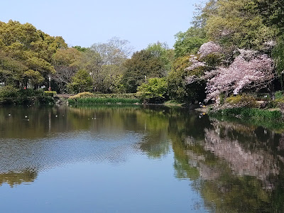 Junsai Pond Green Space 사진 3