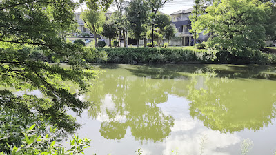 Junsai Pond Green Space 사진 2