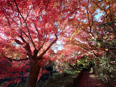 Junsai Pond Green Space 사진 5