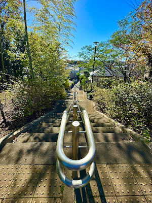 Nerima Kuritsu Kazenooka Park 사진 4