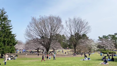 Open Lawn Space, Hikarigaoka Park 사진 2