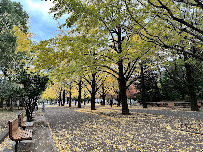 Open Lawn Space, Hikarigaoka Park 사진 3