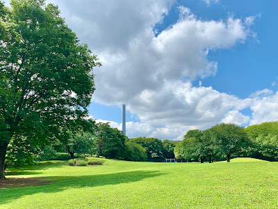 Open Lawn Space, Hikarigaoka Park 사진 4
