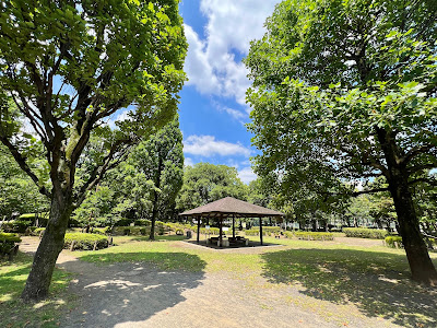 四季の香公園 マグノリア園 사진 4