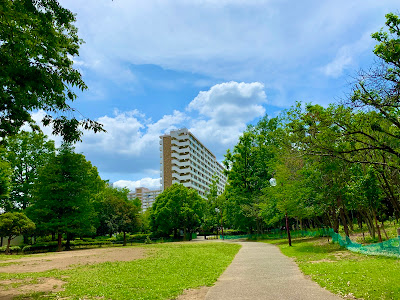 Nerima City Aki-no-hi (Autumn Sunlight) Park 사진 3