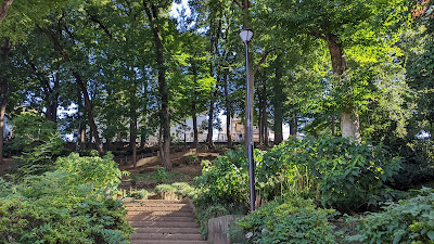 Itabashi Kuritsu Donguriyama Park 사진 2