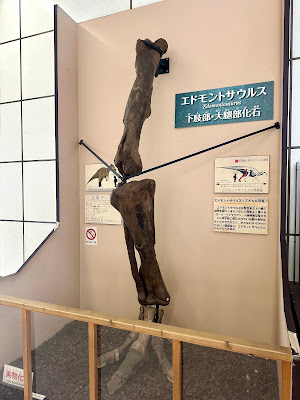 Itabashi Science & Education Hall 사진 5