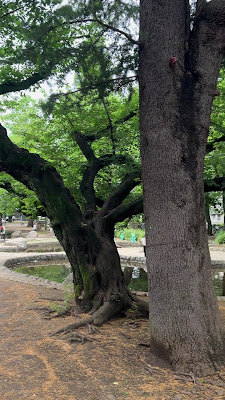 へいわの池 사진 2
