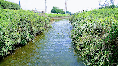 坂川親水広場 사진 4