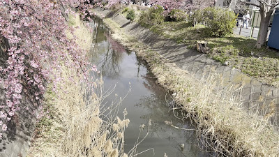 坂川親水広場 사진 2