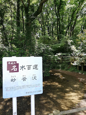 妙音沢特別緑地保全地区 사진 4