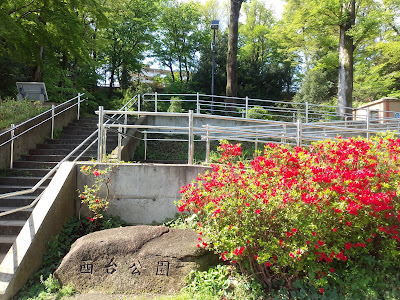 Nishidai Park 사진 5