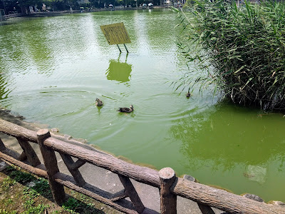 見次公園 手漕ぎボート乗り場 사진 3