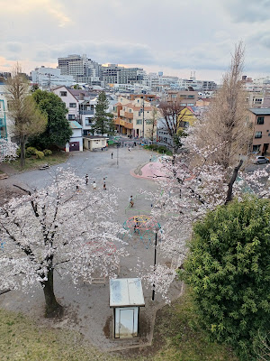 Shimashita Park 사진 4