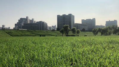 Shinden Wakuwaku Waterside Field 사진 2