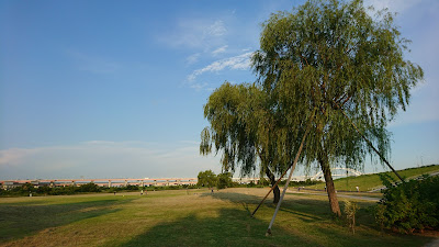 Shinden Wakuwaku Waterside Field 사진 5