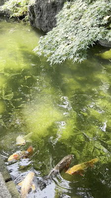 いろは池 사진 3
