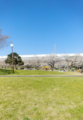Gonpachi Pond (Wild Floating Heart Field) 사진 5