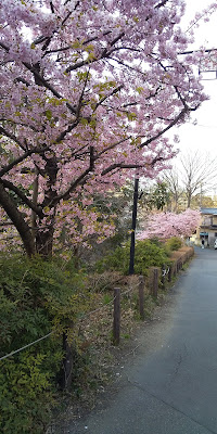 松龍寺参道 사진 4