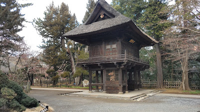 高野槙 사진 3