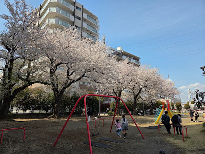 Chibikko Park 사진 4